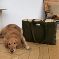color-vert-olive