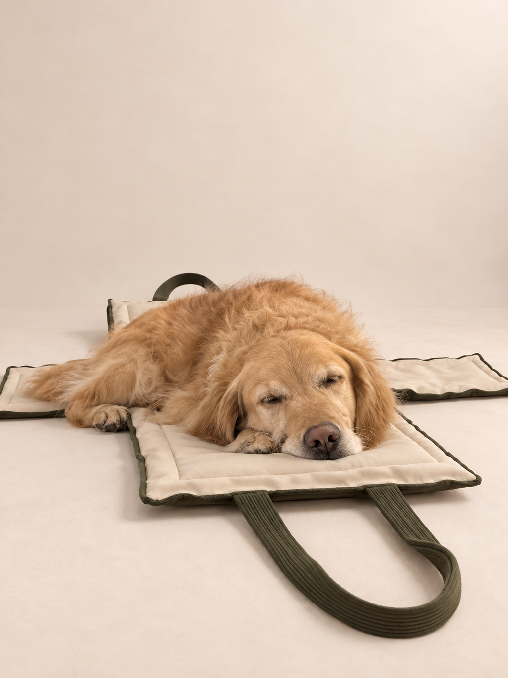 Couleur Kaki -  Panier ouvert avec chien
